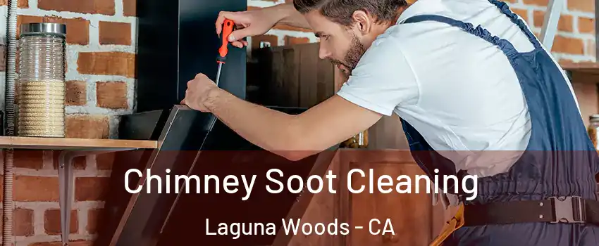  Chimney Soot Cleaning Laguna Woods - CA