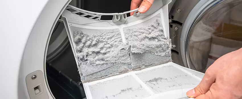 Best Dryer Lint Removal Company in Laguna Woods, California